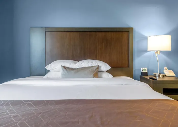 Hotel Wingate By Wyndham Chicago 3*