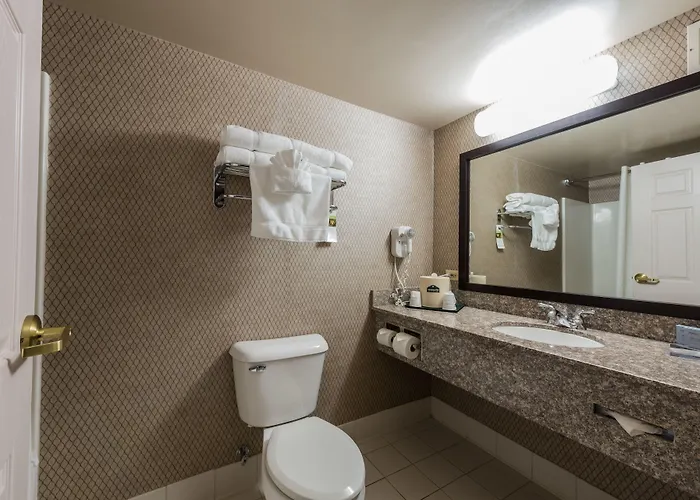 Wingate By Wyndham Chicago Hotel 3*